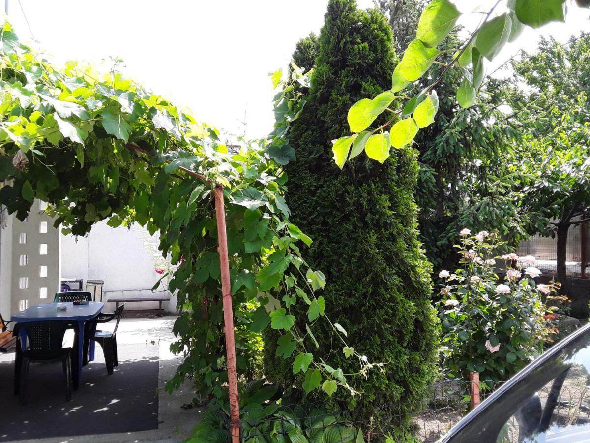 Old House Apartment Vama Veche Luaran gambar